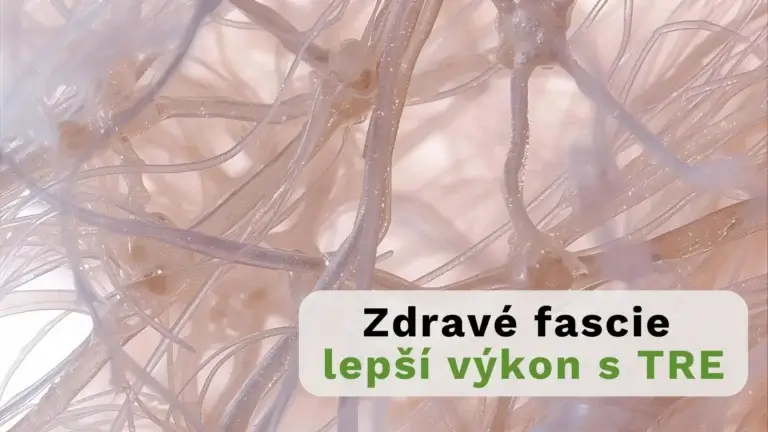 Zobrazena Fascie pod mikroskopem